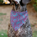 Load image into Gallery viewer, Pet Bandana - BARBIE Autograph Script Scattered Blue/Pink
