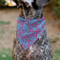 Load image into Gallery viewer, Pet Bandana - BARBIE Autograph Script Scattered Blue/Pink
