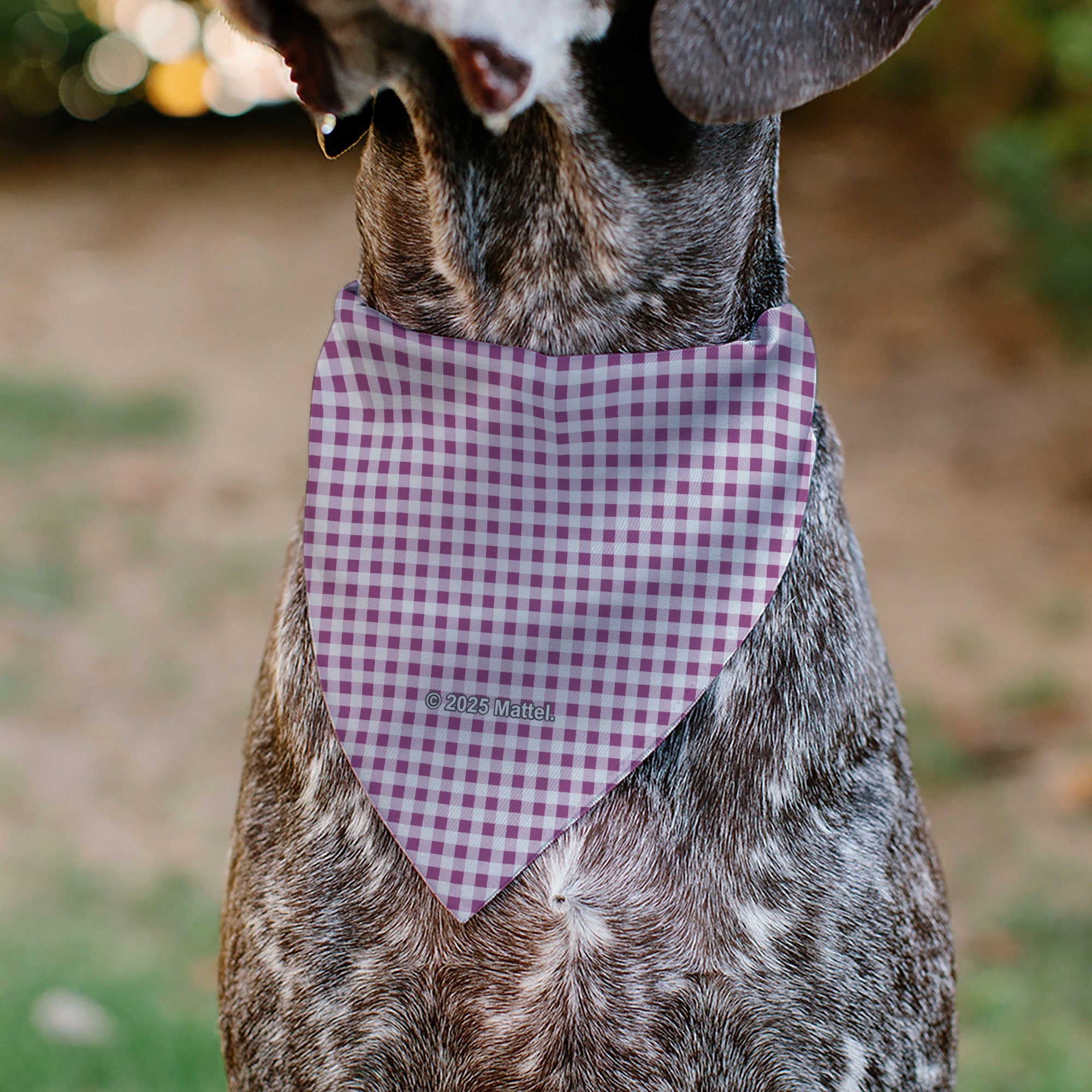 Pet Bandana - BARBIE Heart Text Logo Plaid Pinks
