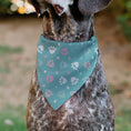Load image into Gallery viewer, Pet Bandana - BARBIE Bold Text Paw Print Icons Blues/Pinks/White
