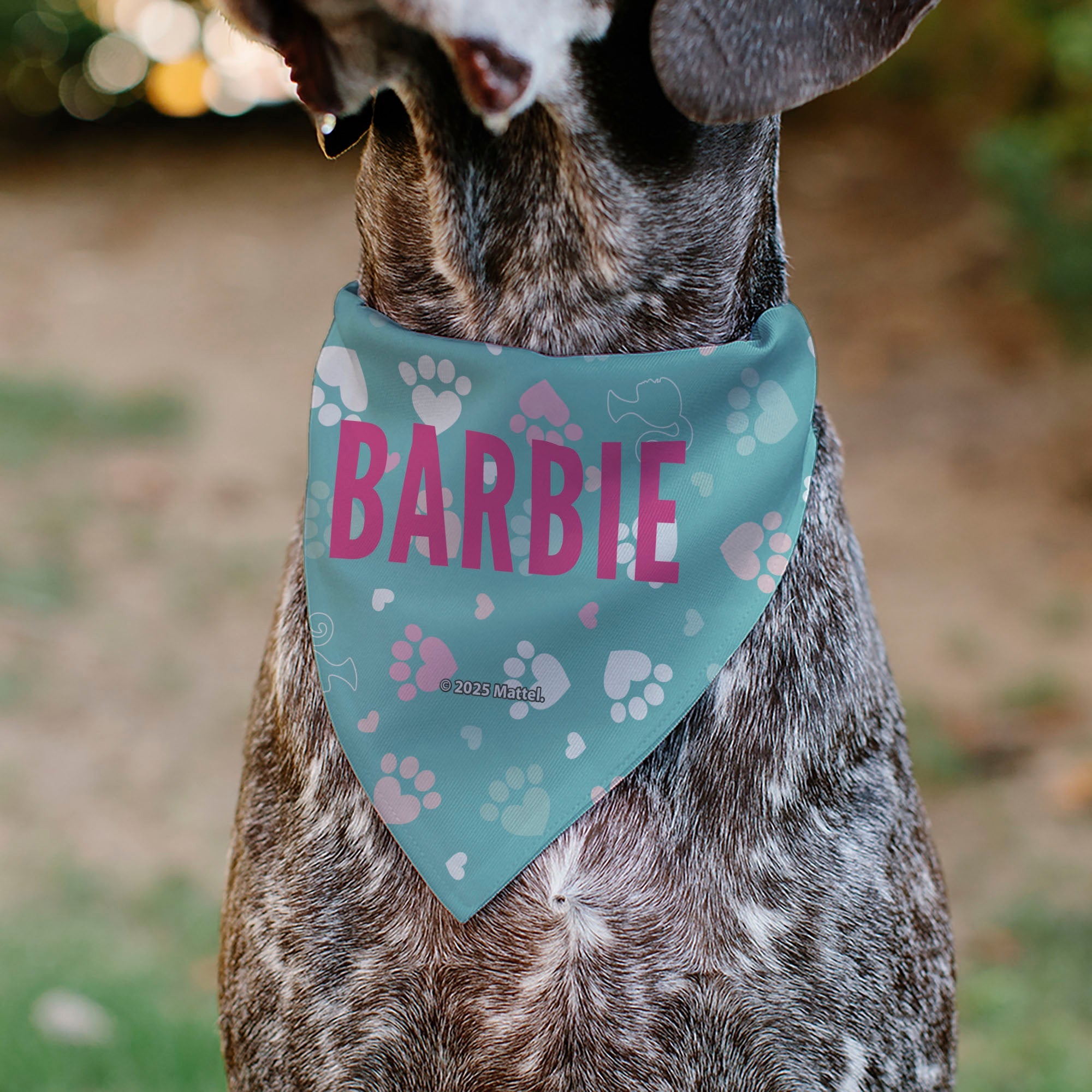 Pet Bandana - BARBIE Bold Text Paw Print Icons Blues/Pinks/White