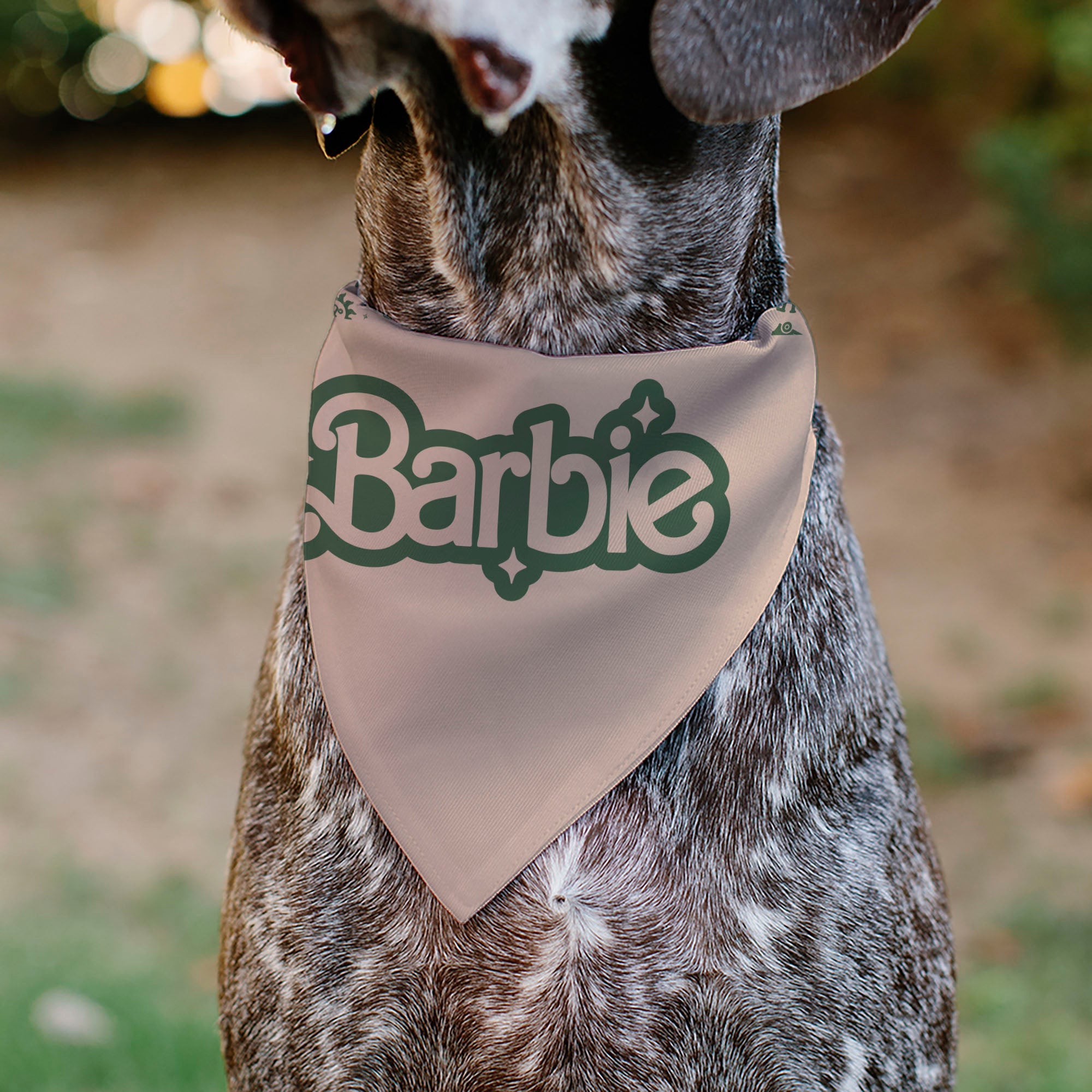 Pet Bandana - CALIFORNIA DREAMIN BARBIE Icons Collage and Script Peach/Olive