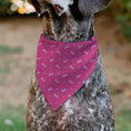 Load image into Gallery viewer, Pet Bandana - BARBIE Script and Palm Tree Icon Pink/White/Orange
