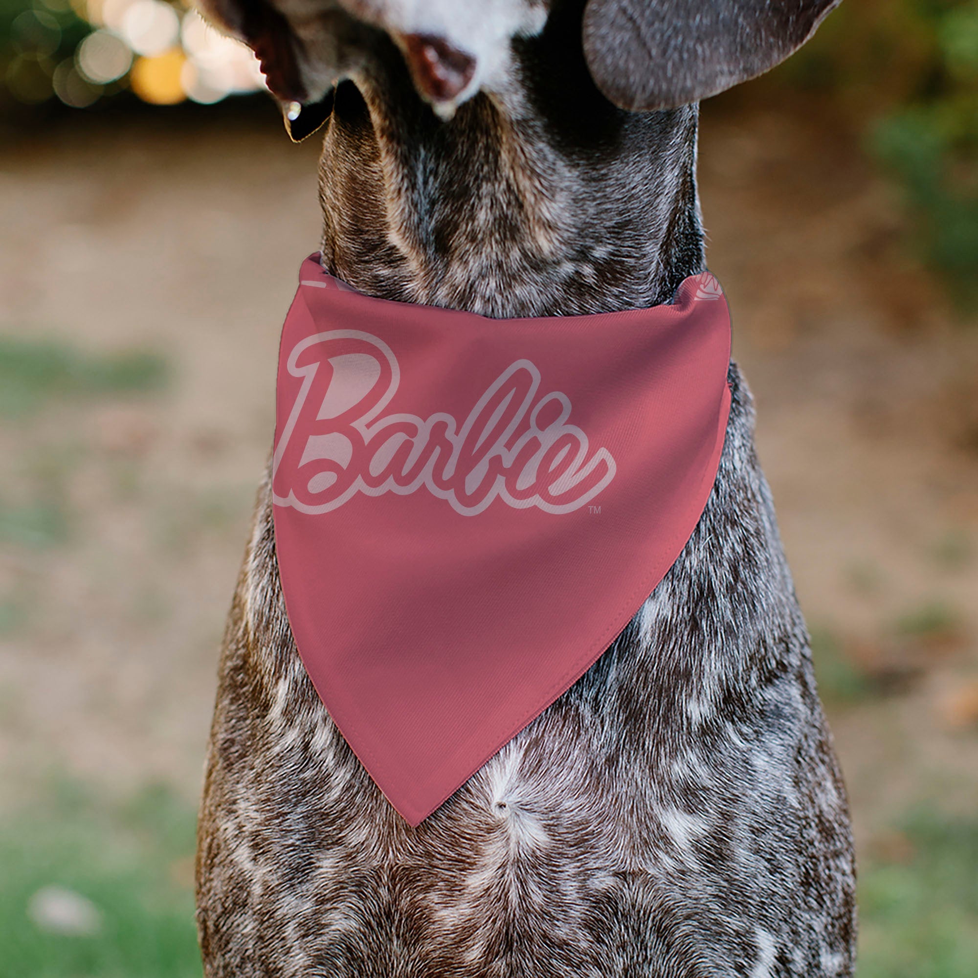 Pet Bandana - Malibu Beach BARBIE Script and Icons Collage Pinks