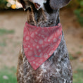 Load image into Gallery viewer, Pet Bandana - Malibu Beach BARBIE Script and Icons Collage Pinks
