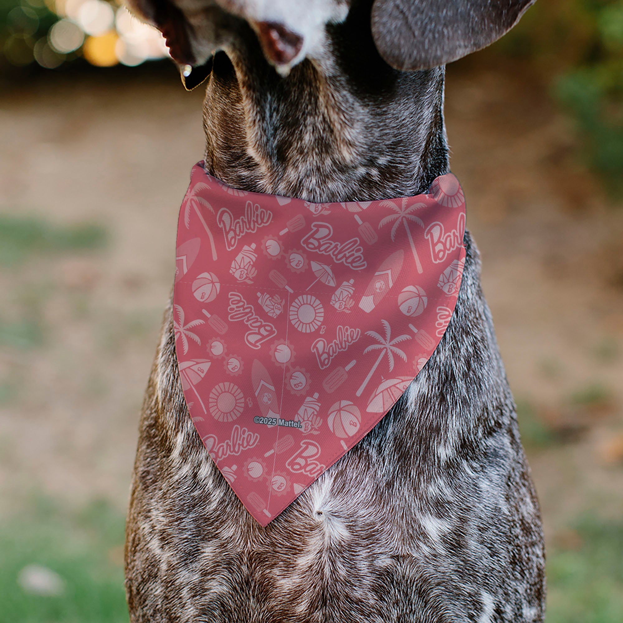 Pet Bandana - Malibu Beach BARBIE Script and Icons Collage Pinks