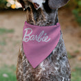 Load image into Gallery viewer, Pet Bandana - BARBIE Script and B Icon Collage Pinks/White
