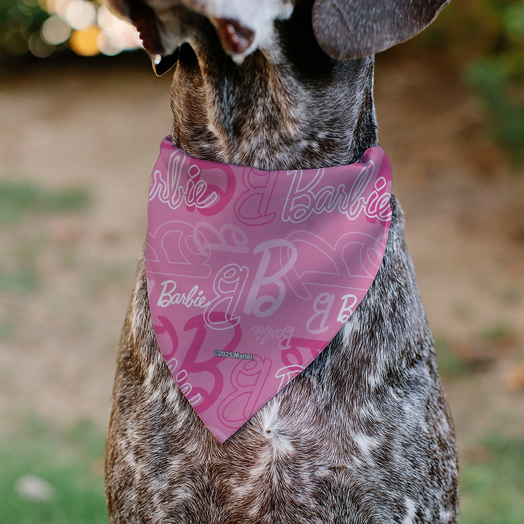 Pet Bandana - BARBIE Script and B Icon Collage Pinks/White