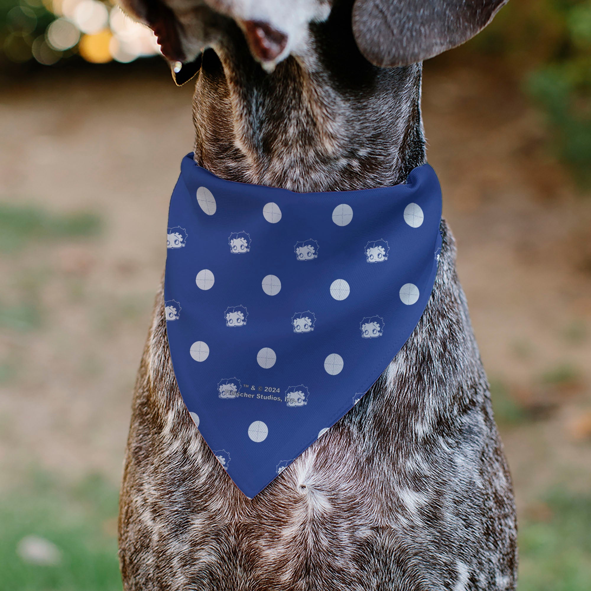 Pet Bandana - Bandana Betty Boop USA Heart Pose Polka Dot/Face Blue/White