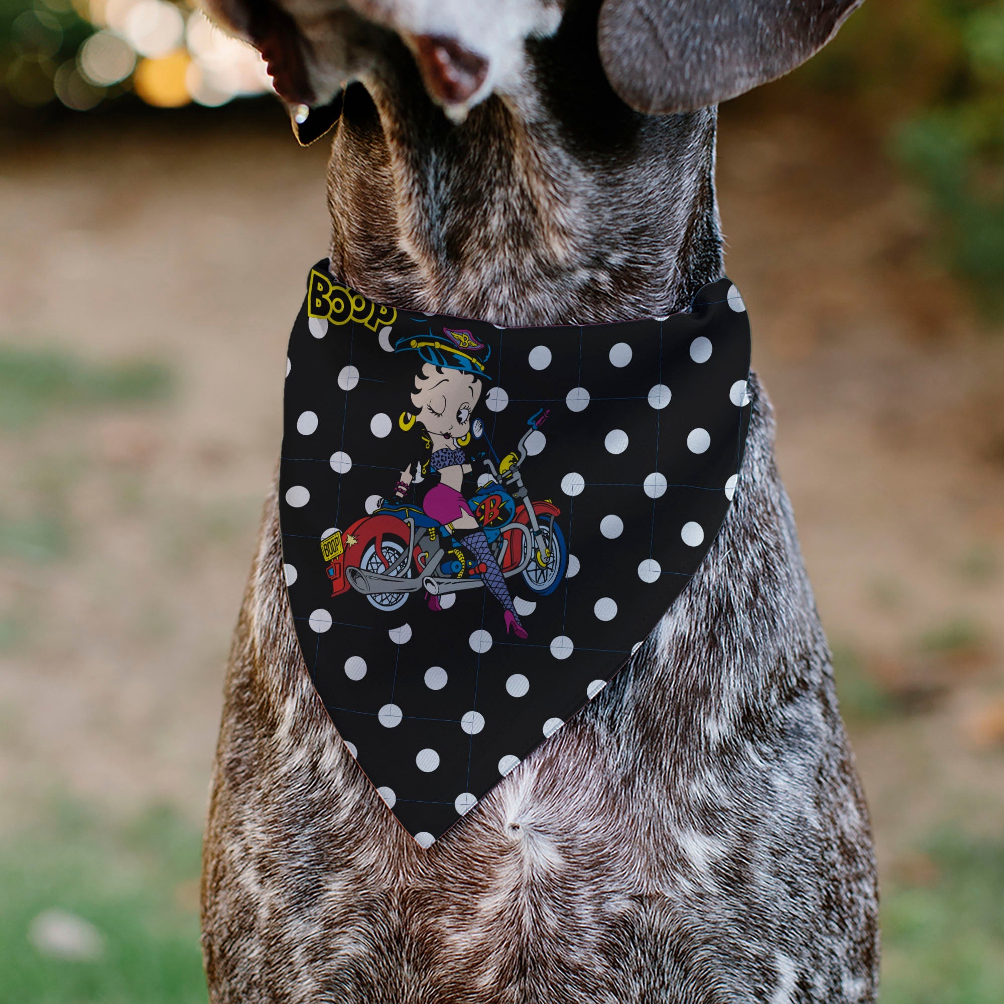 Pet Bandana - Bandana BETTY BOOP Biker Betty Winking Pose and Text Polka Dot Black/White/Yellow