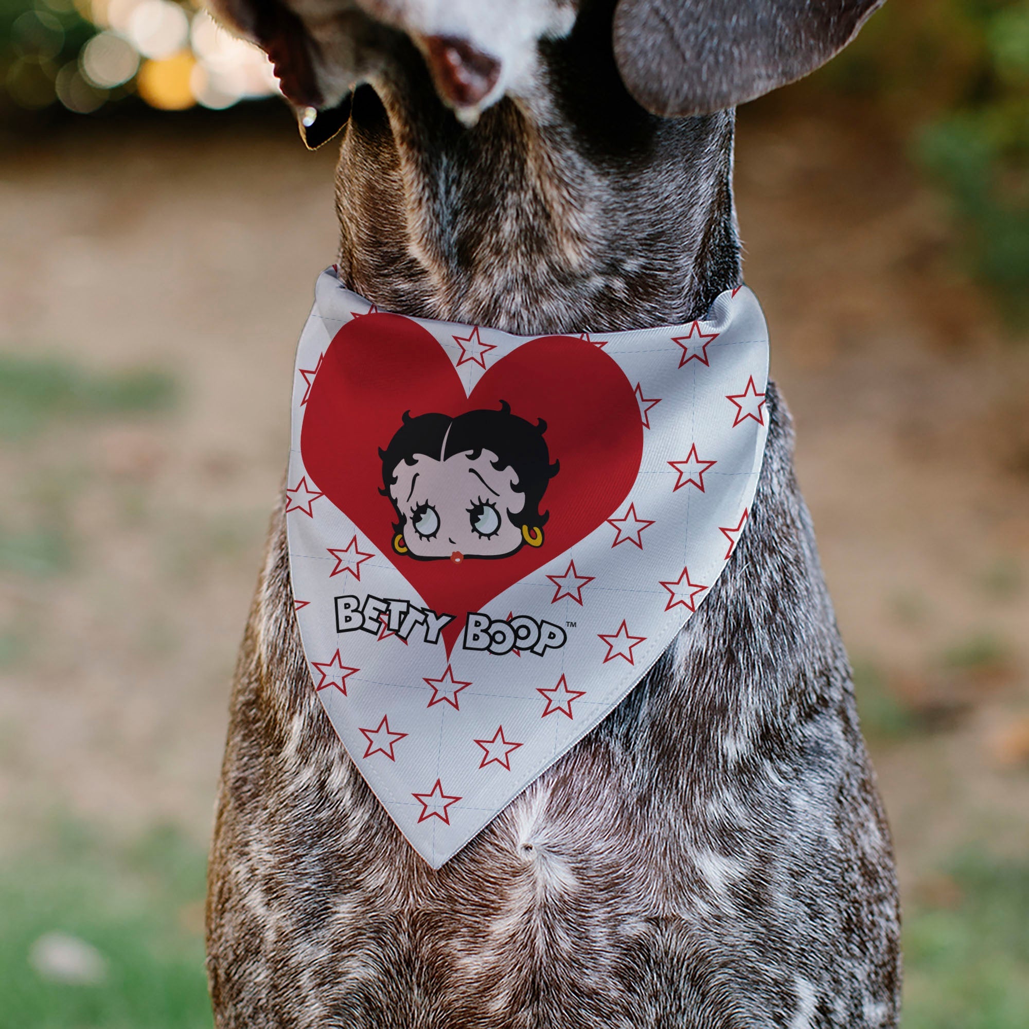 Pet Bandana - Bandana BETTY BOOP Face Heart and Text Stars White/Red