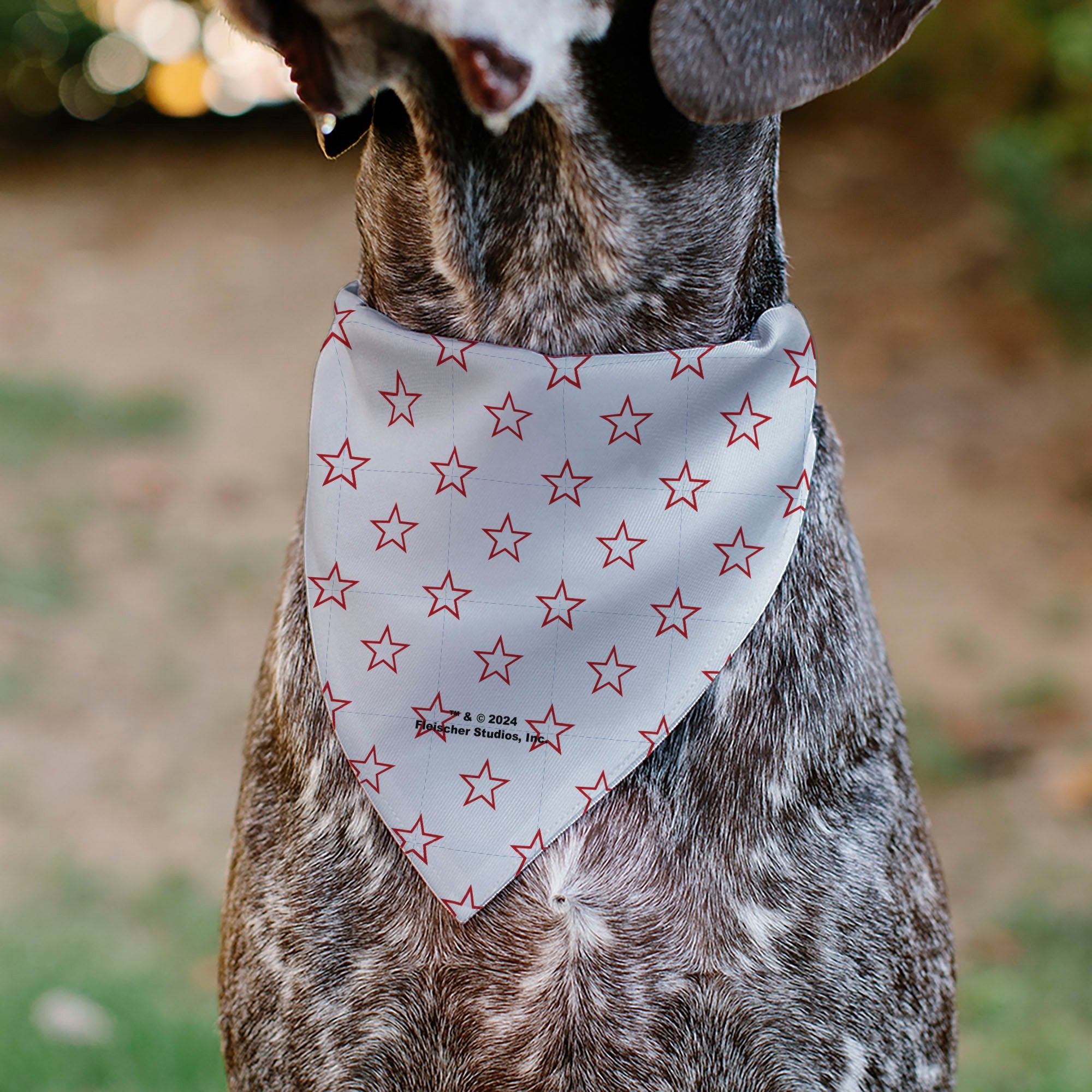 Pet Bandana - Bandana BETTY BOOP Face Heart and Text Stars White/Red