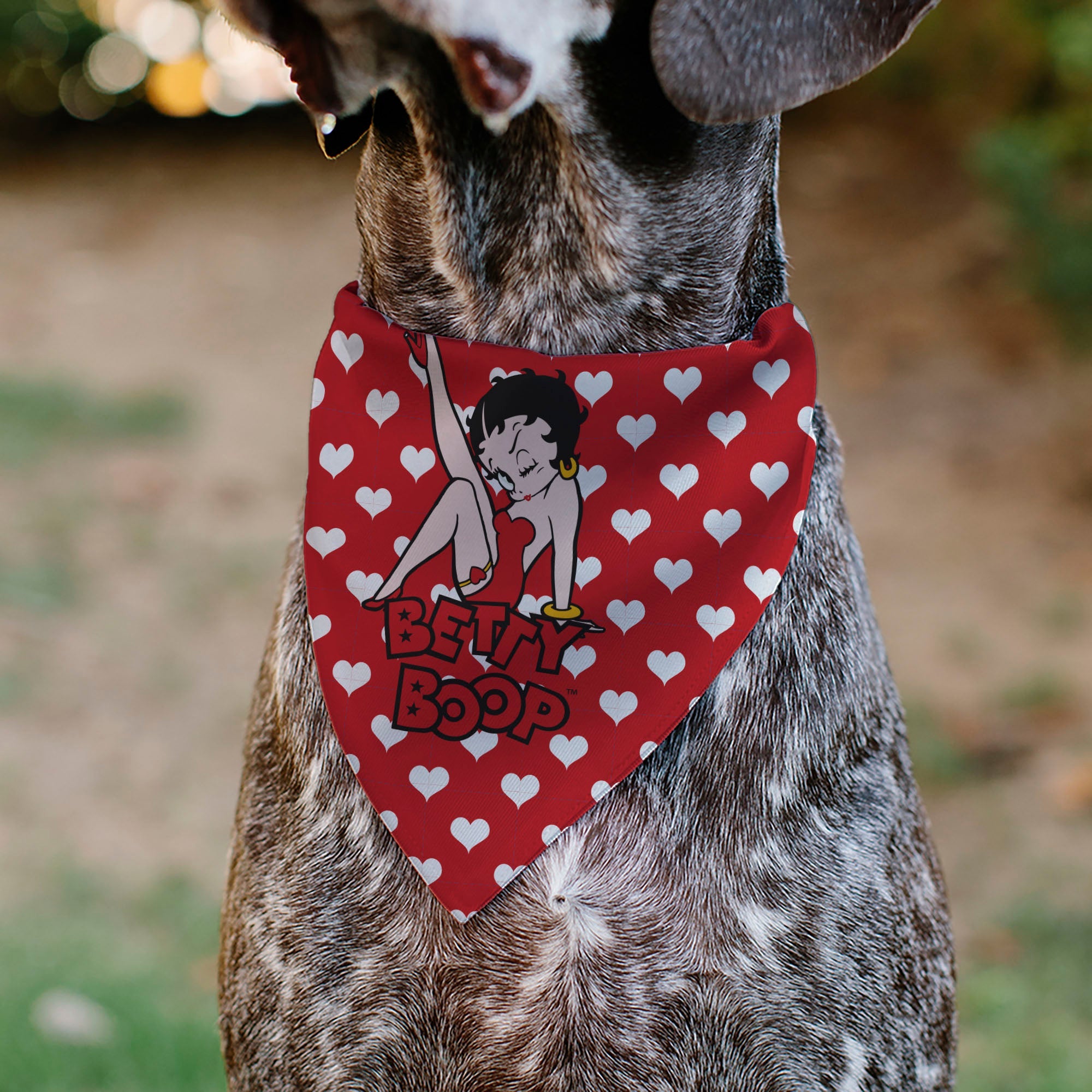 Pet Bandana - Bandana BETTY BOOP Seated Leg Kick Pose and Text Hearts Red/White