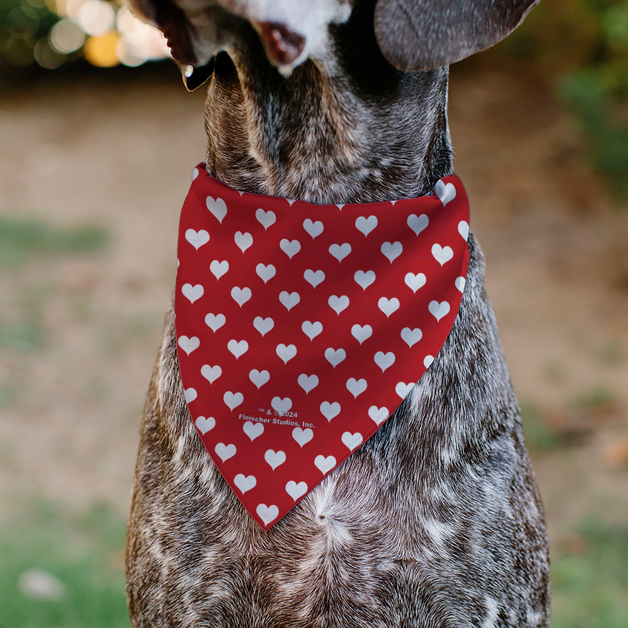 Pet Bandana - Bandana BETTY BOOP Seated Leg Kick Pose and Text Hearts Red/White
