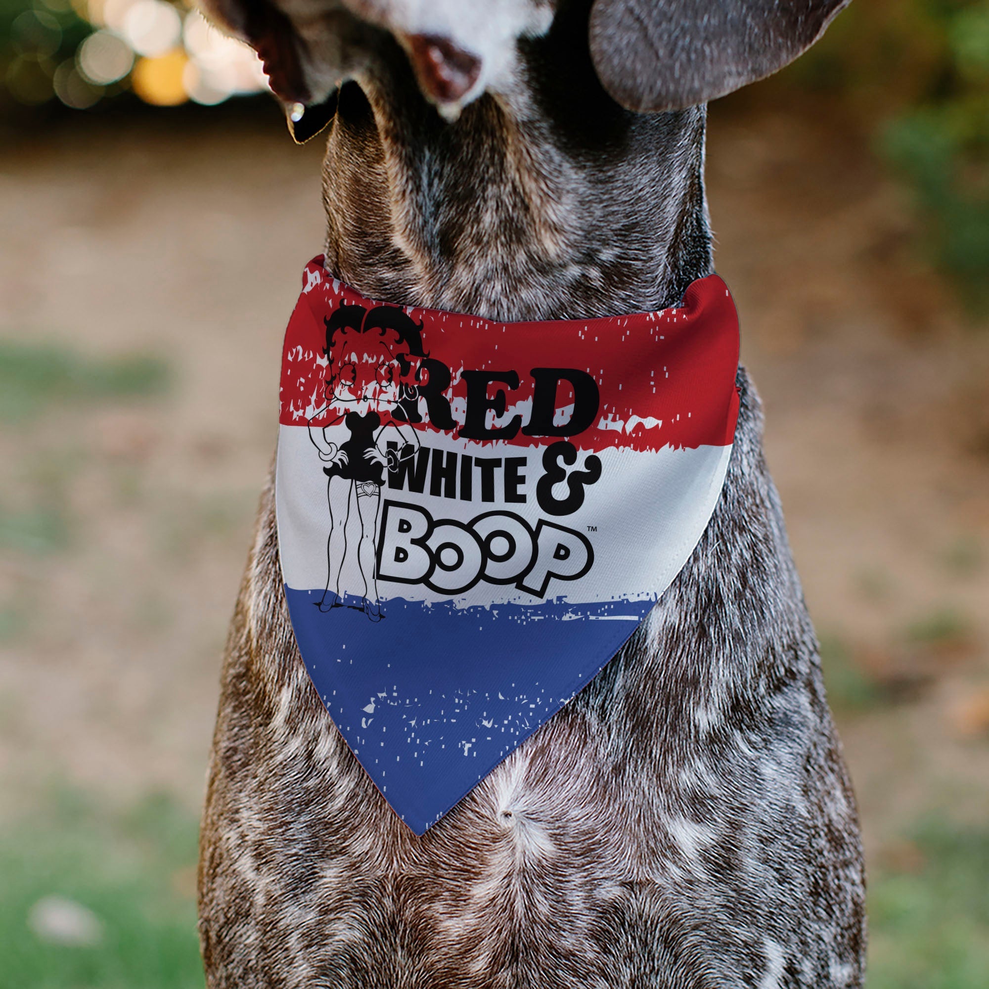 Pet Bandana - Bandana Betty Boop RED WHITE & BOOP Pose Americana Stripe Red/White/Blue/Black