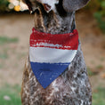 Load image into Gallery viewer, Pet Bandana - Bandana Betty Boop RED WHITE & BOOP Pose Americana Stripe Red/White/Blue/Black
