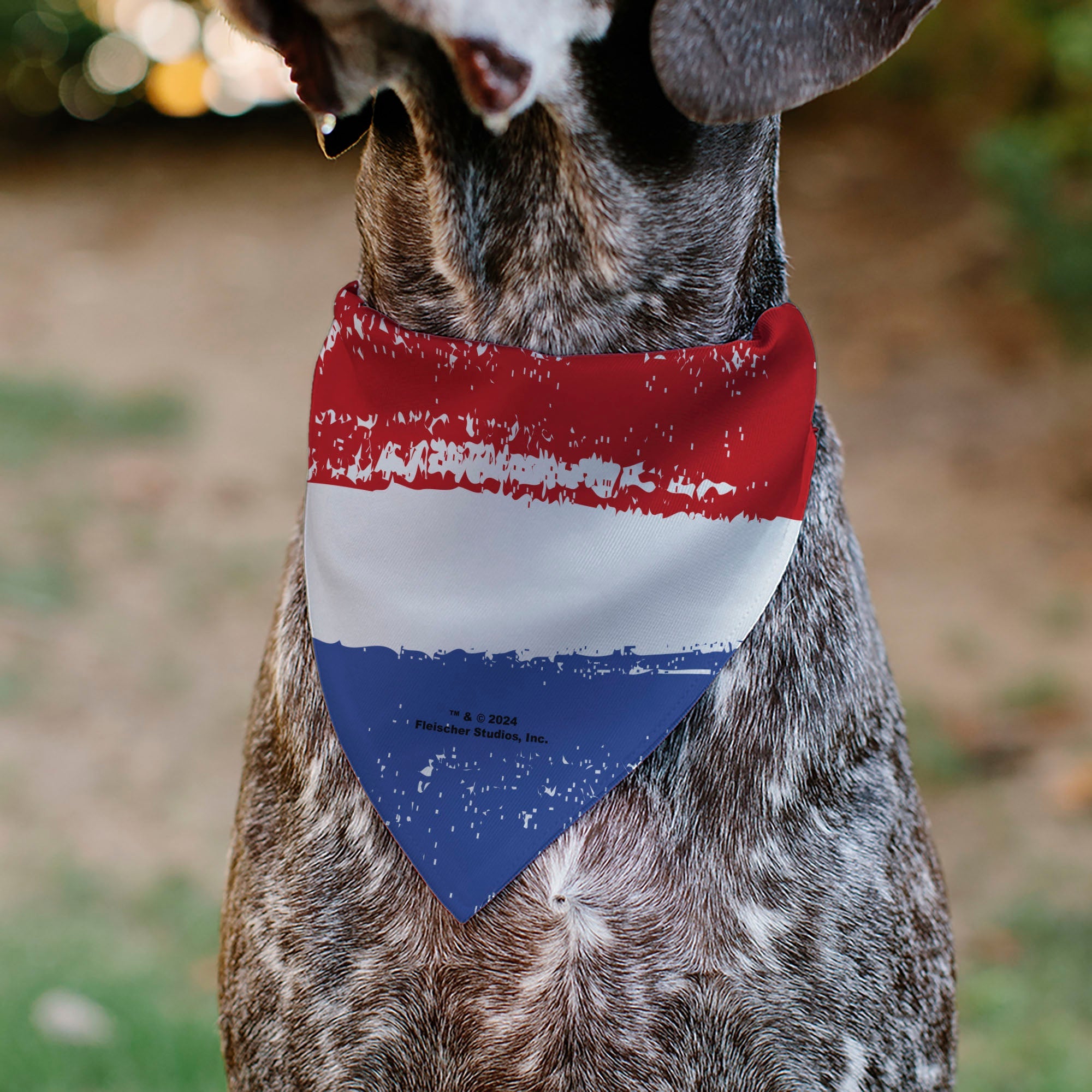 Pet Bandana - Bandana Betty Boop RED WHITE & BOOP Pose Americana Stripe Red/White/Blue/Black