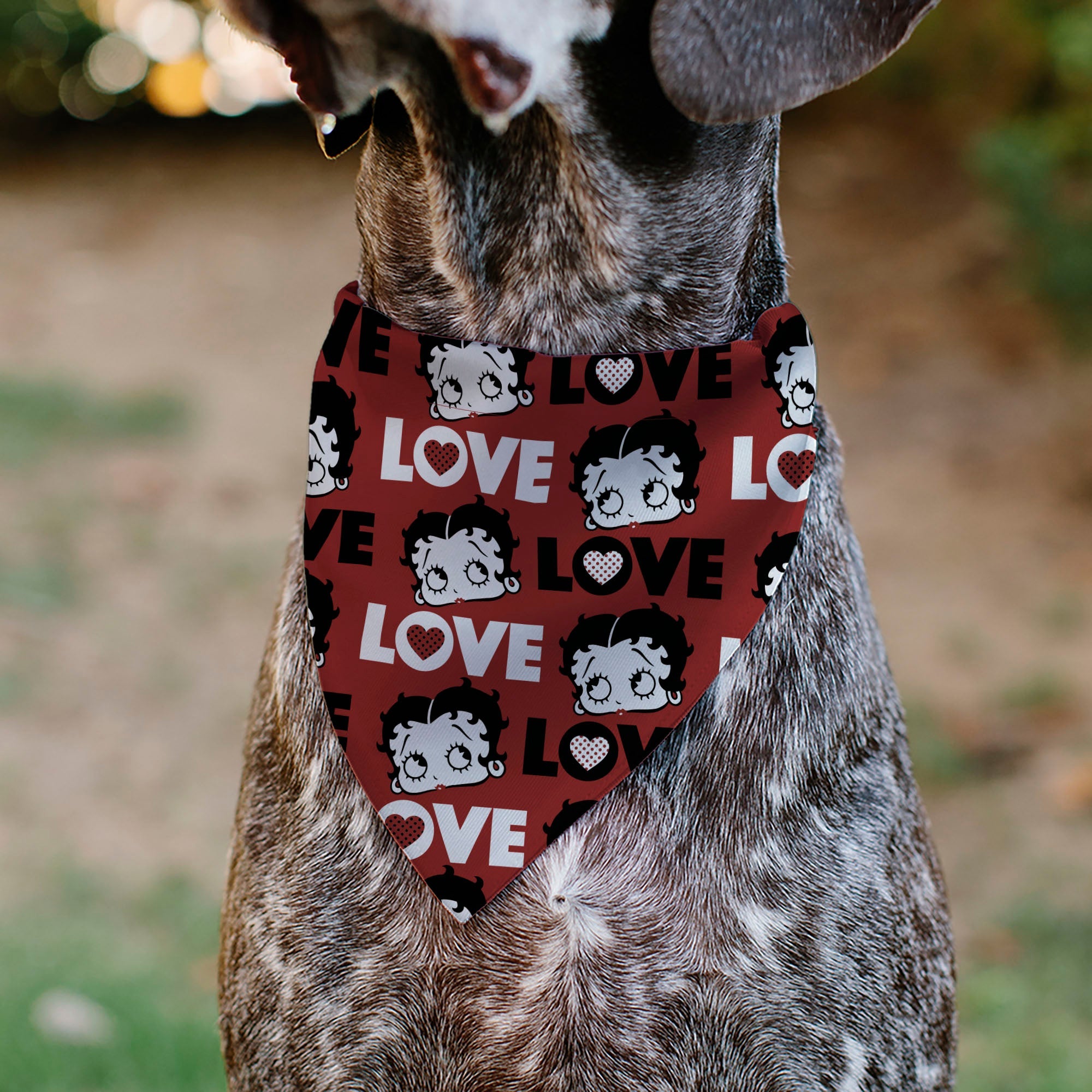 Pet Bandana - Betty Boop LOVE Text and Face Red/Black/White