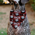 Load image into Gallery viewer, Pet Bandana - Betty Boop LOVE Text and Face Red/Black/White
