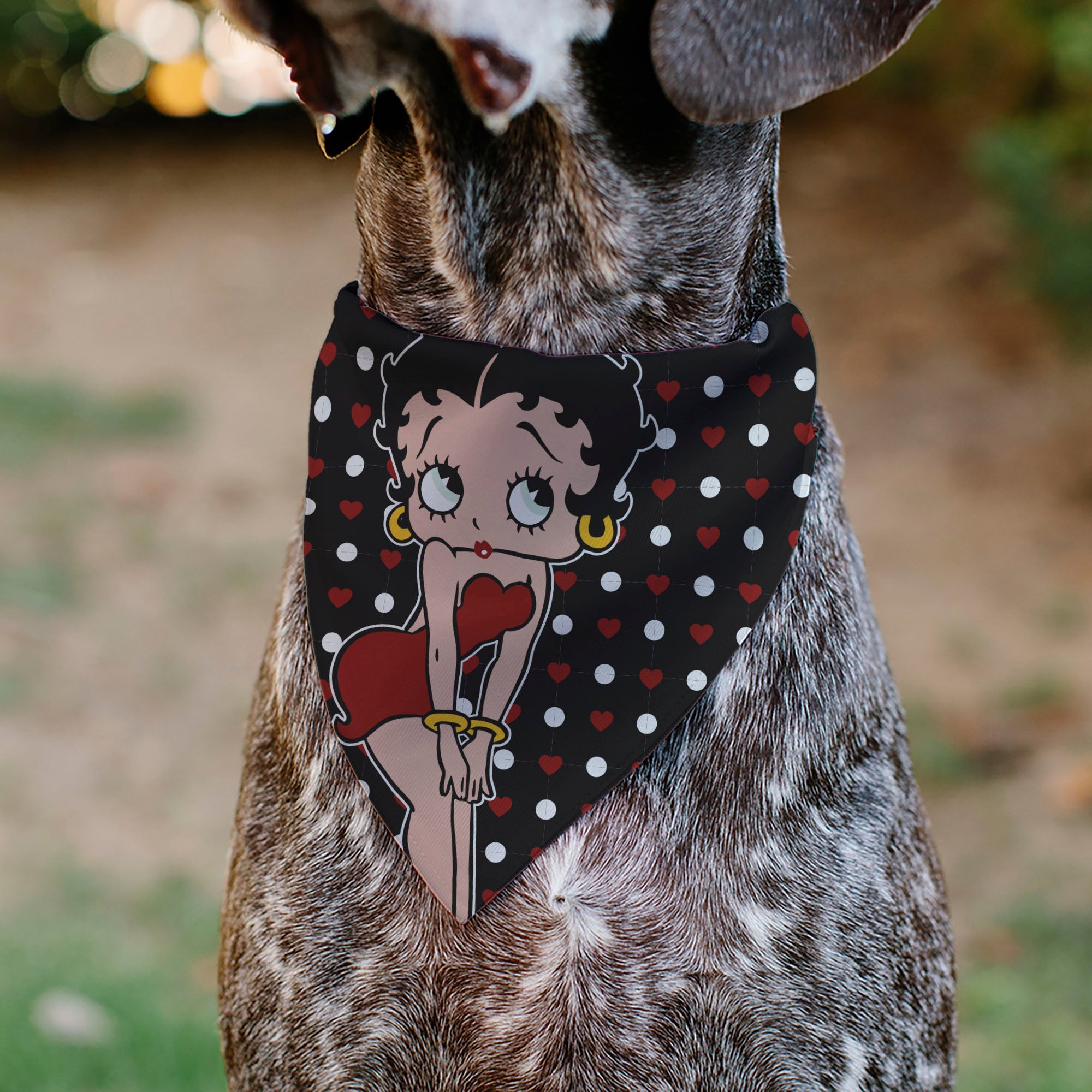 Pet Bandana - Betty Boop Hands on Knees Pose Heart Polka Dot Black/Red/White