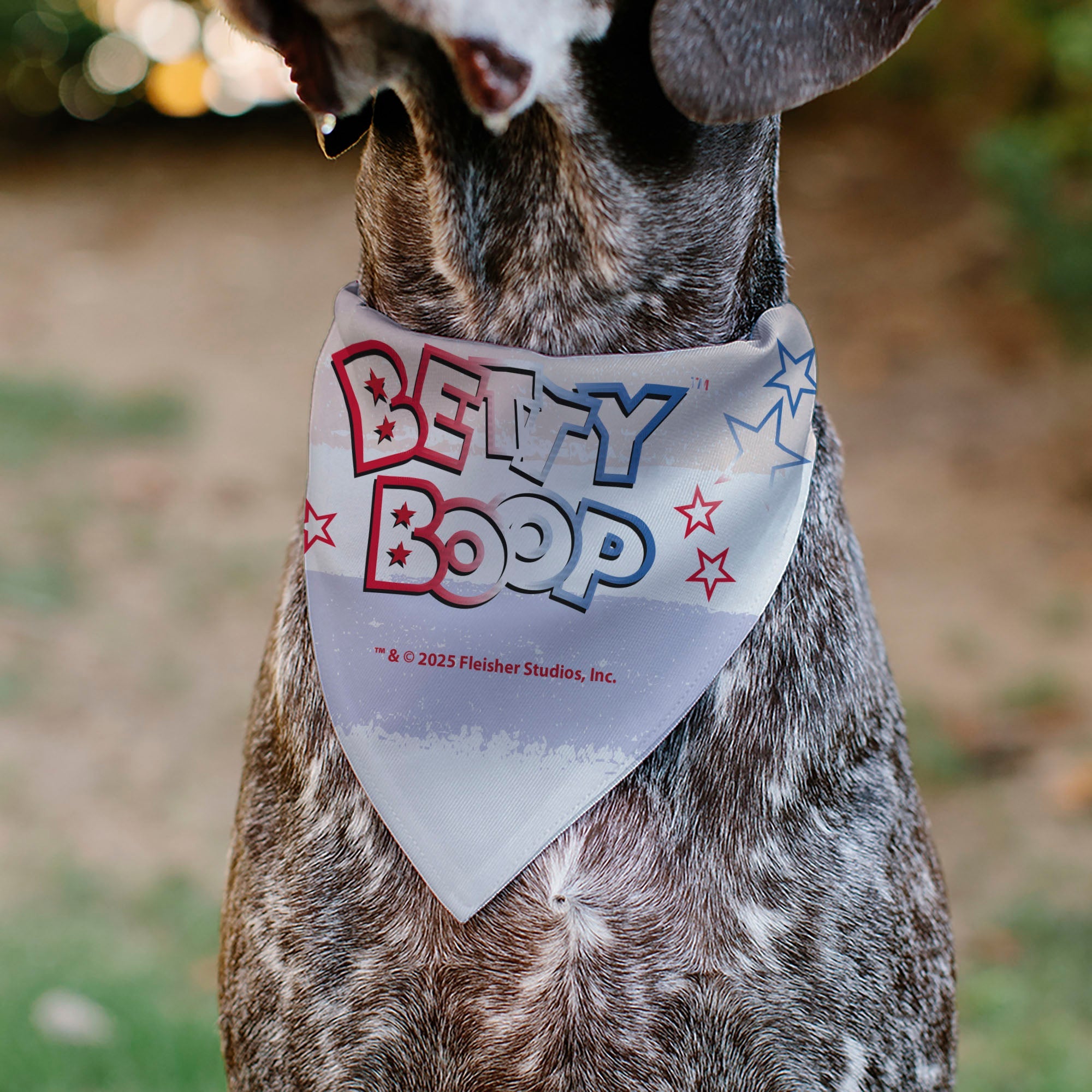 Pet Bandana - Betty Boop Americana Leg Kick Pose White/Red/Blue
