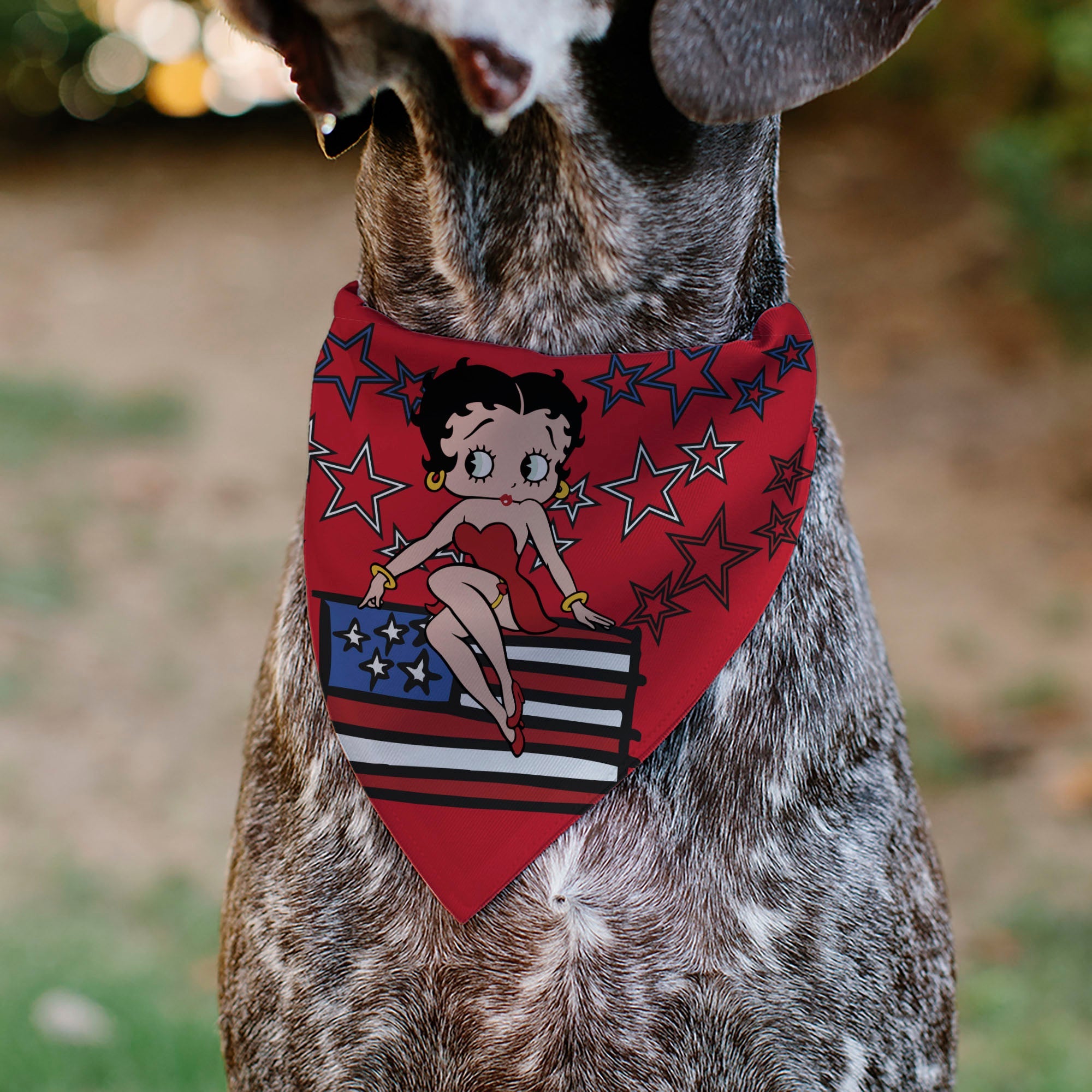 Pet Bandana - Betty Boops Americana Stars and Stripes Pose Reds/White/Blue