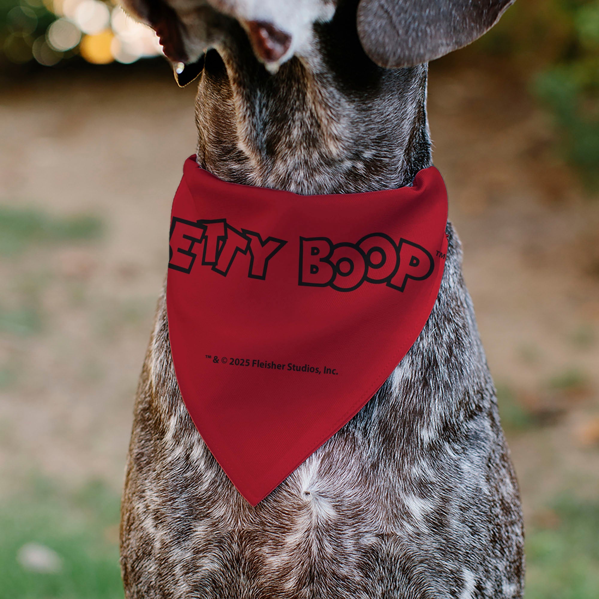 Pet Bandana - Betty Boops Americana Stars and Stripes Pose Reds/White/Blue