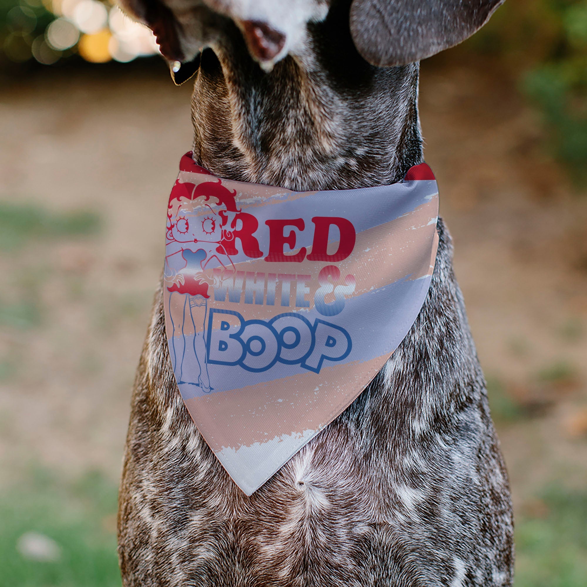 Pet Bandana - Betty Boop RED WHITE & BOOP Stripes Pose White/Red/Blue