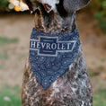 Load image into Gallery viewer, Pet Bandana - CHEVROLET 1940 Bowtie Text Logo Paisley Blue/White

