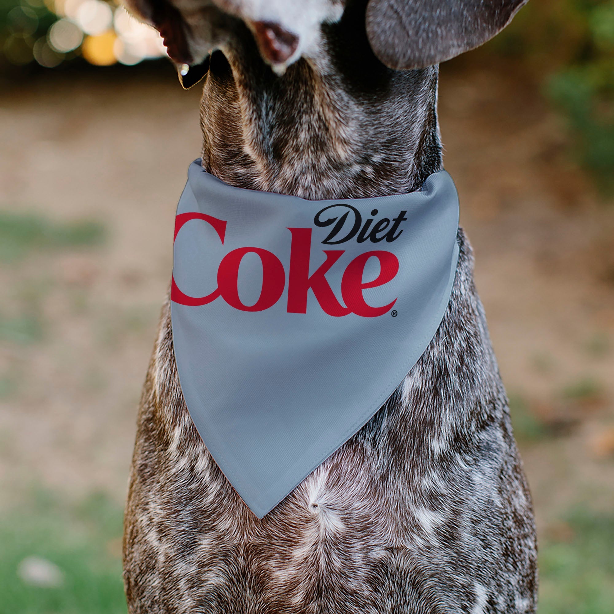 Pet Bandana - DIET COKE Logo Gray/Black/Red