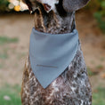 Load image into Gallery viewer, Pet Bandana - DIET COKE Logo Gray/Black/Red
