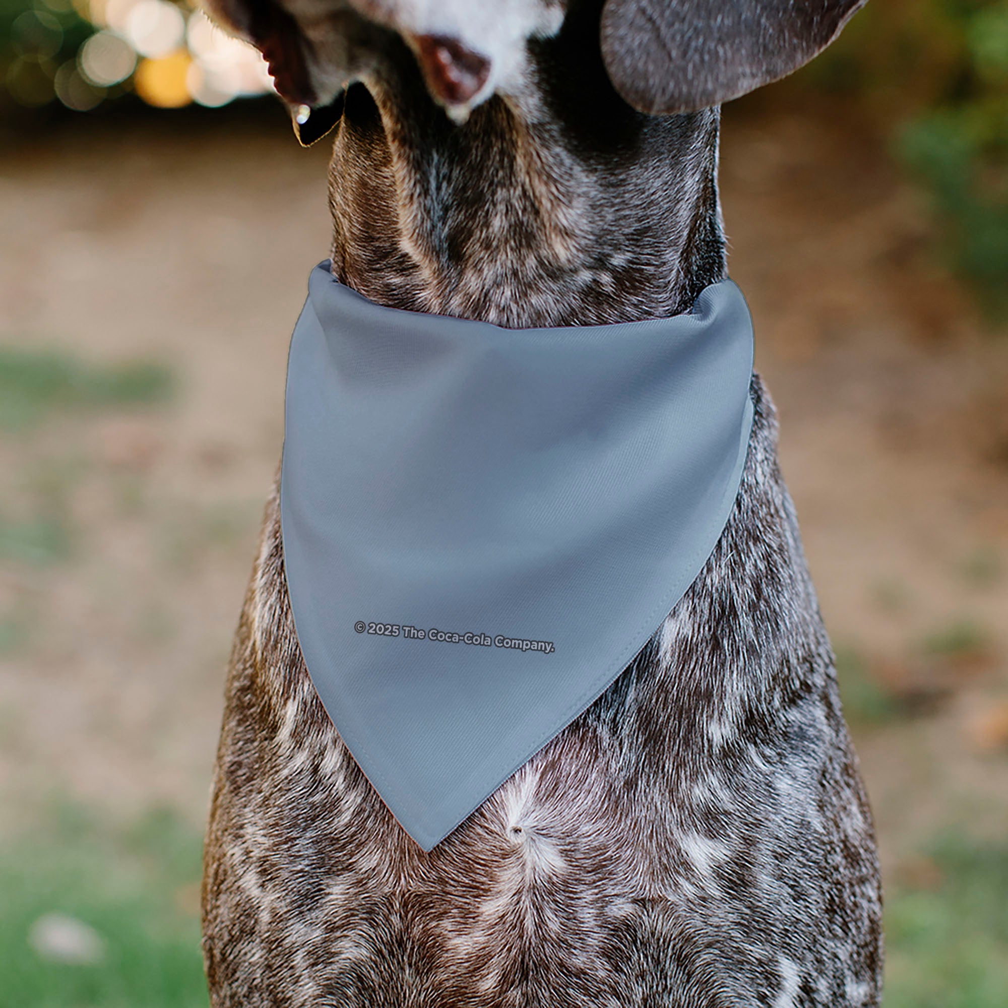 Pet Bandana - DIET COKE Logo Gray/Black/Red