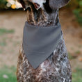 Load image into Gallery viewer, Pet Bandana - DIET COKE Logo Gray/Red/White
