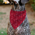 Load image into Gallery viewer, Pet Bandana - Coca-Cola Icons Bandana Collage Red/Black/White
