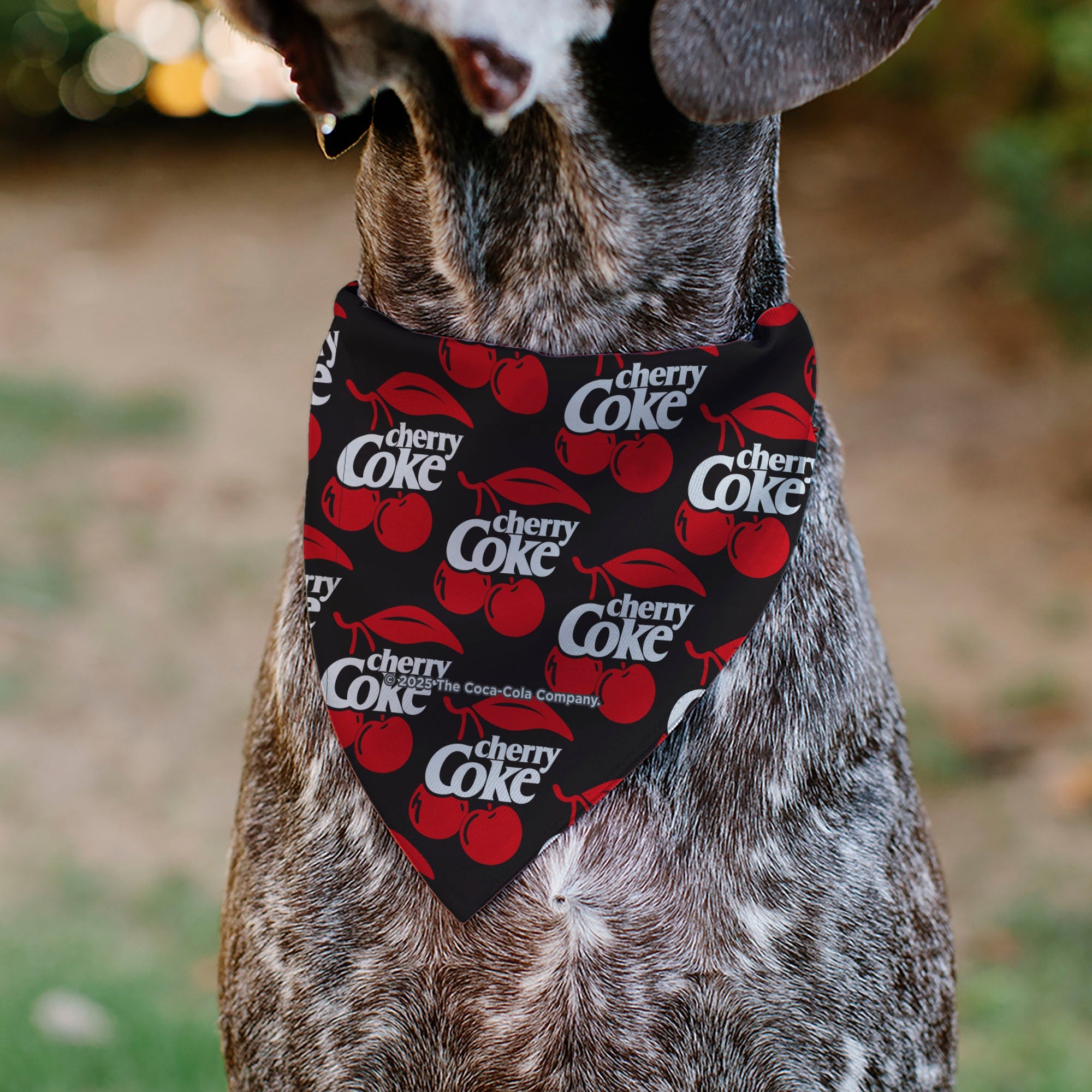 Pet Bandana - CHERRY COKE and Cherries Logo Collage Black/Red/White