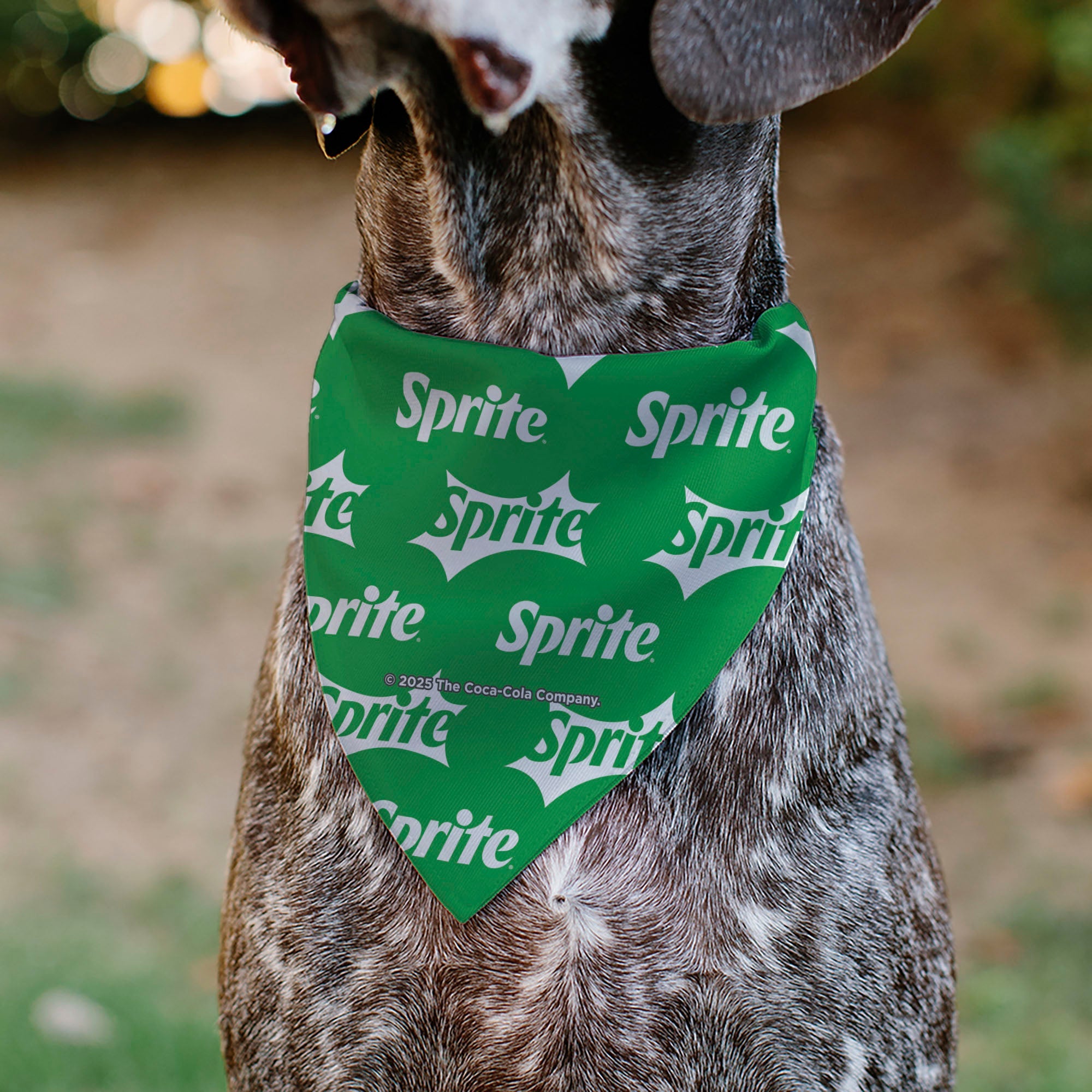 Pet Bandana - SPRITE Logo Repeat Green/White