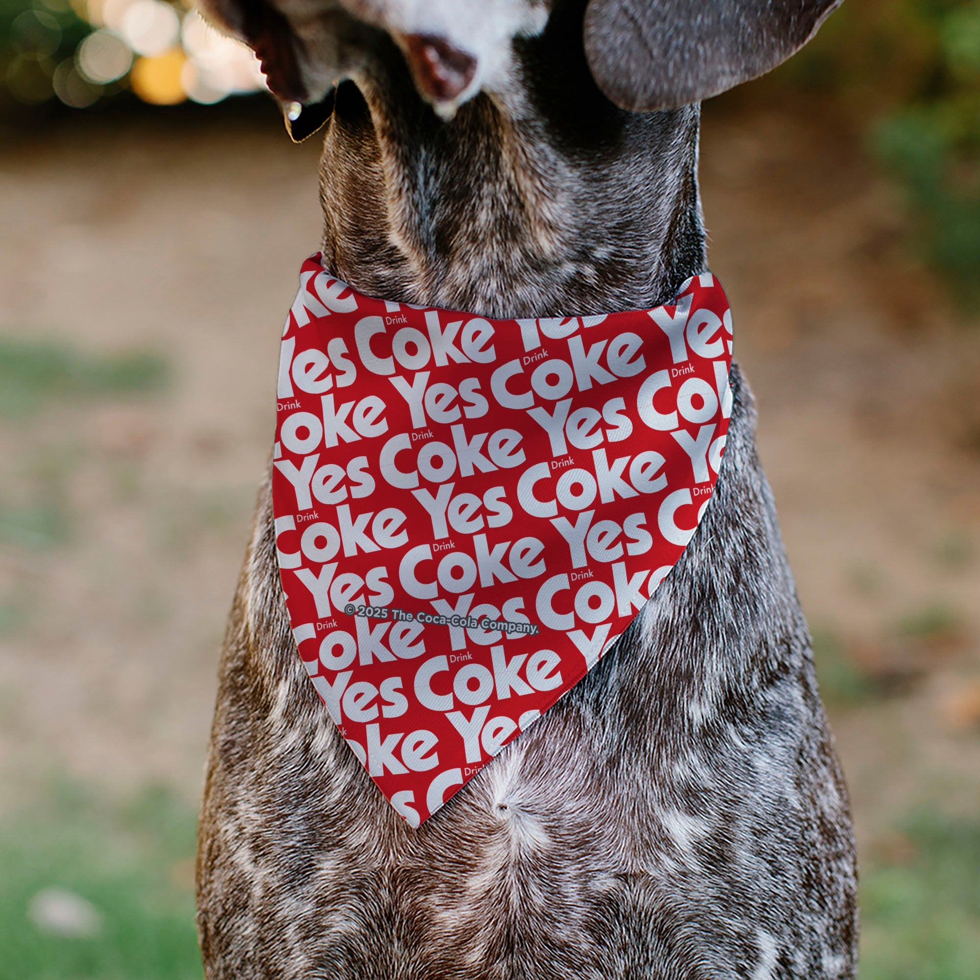 Pet Bandana - Coca-Cola YES COKE YES Text Collage Red/White
