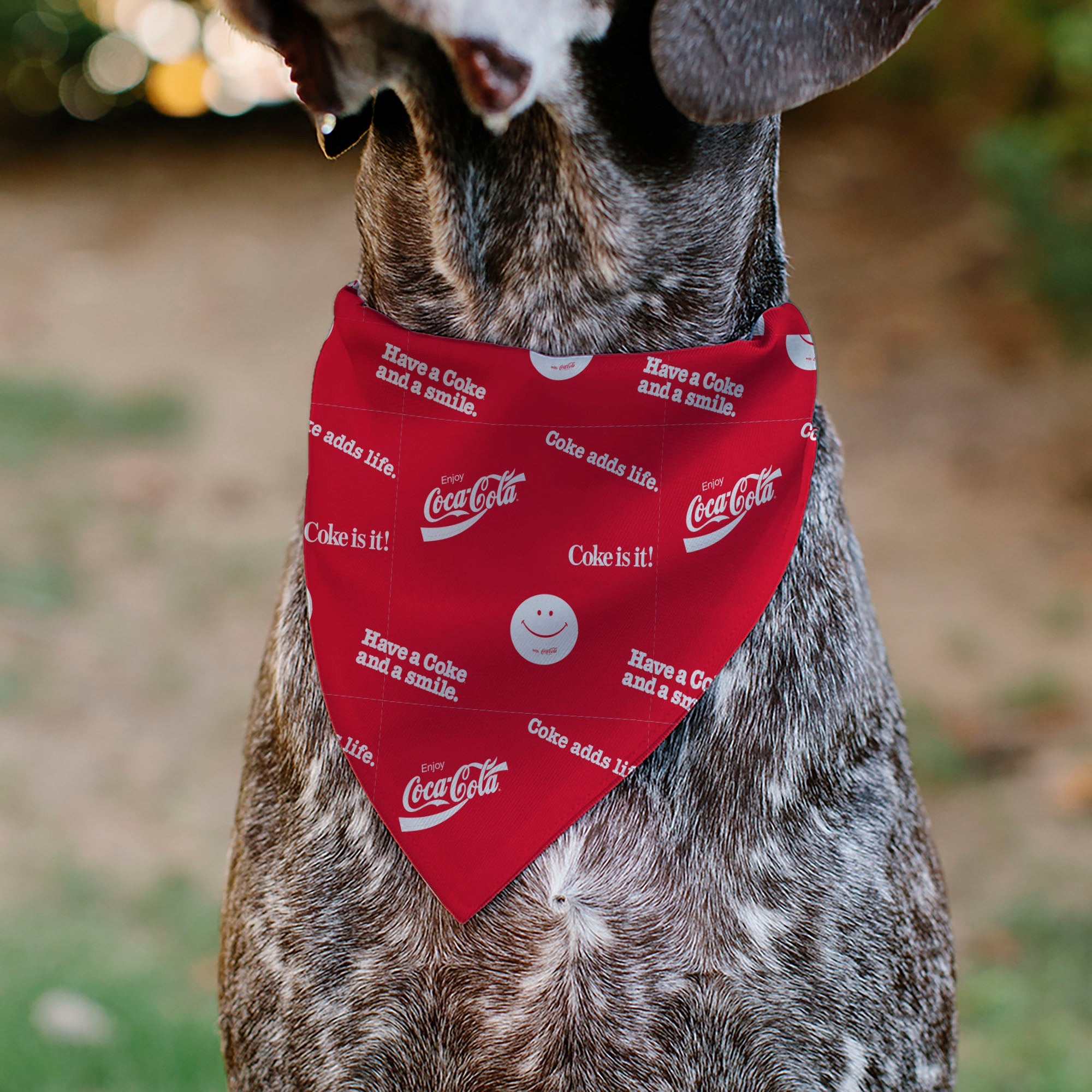 Pet Bandana - COCA-COLA Coke Quotes Scattered Red/White