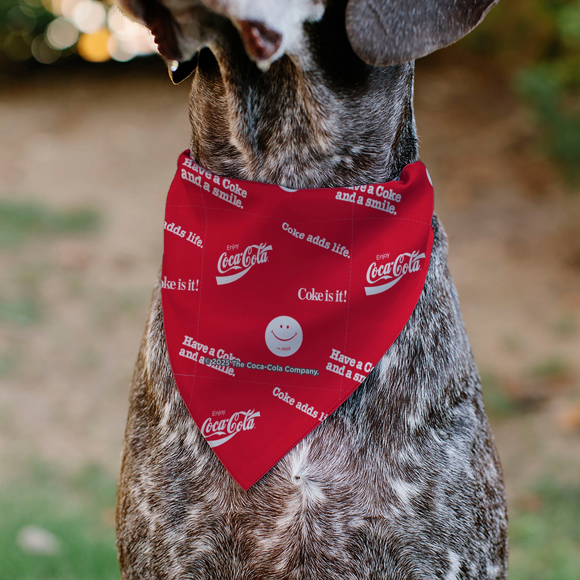 Pet Bandana - COCA-COLA Coke Quotes Scattered Red/White