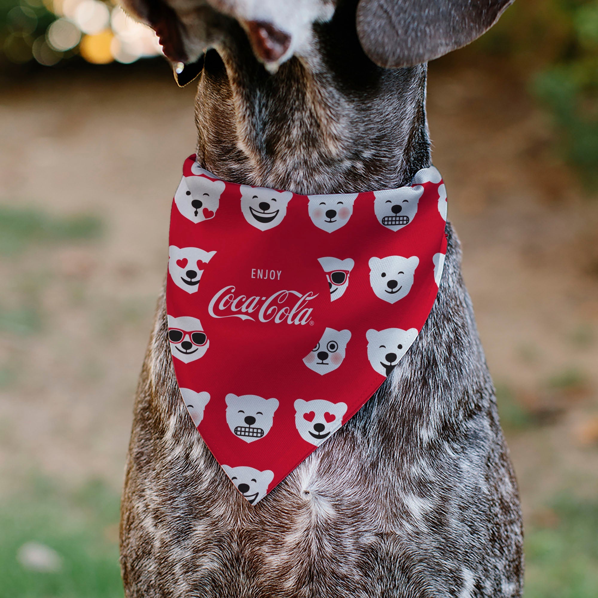 Pet Bandana - ENJOY COCA-COLA Logo and Polar Bear Expressions Red/White
