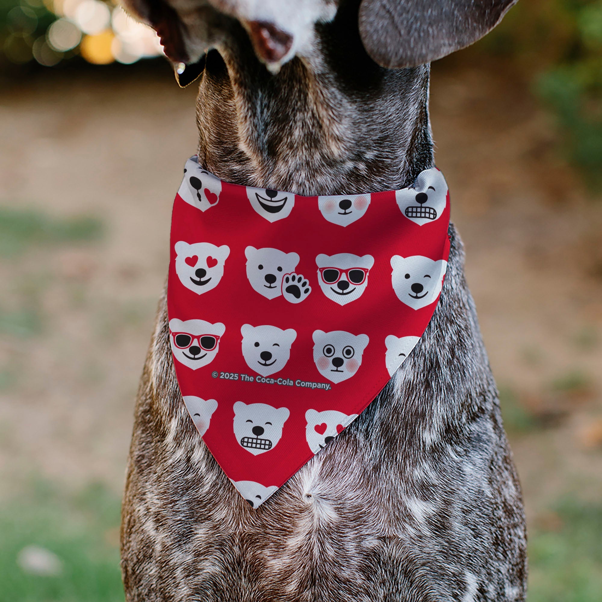 Pet Bandana - ENJOY COCA-COLA Logo and Polar Bear Expressions Red/White
