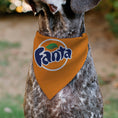 Load image into Gallery viewer, Pet Bandana - FANTA Orange Round Logo Orange/White/Blue
