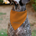 Load image into Gallery viewer, Pet Bandana - FANTA Orange Round Logo Orange/White/Blue
