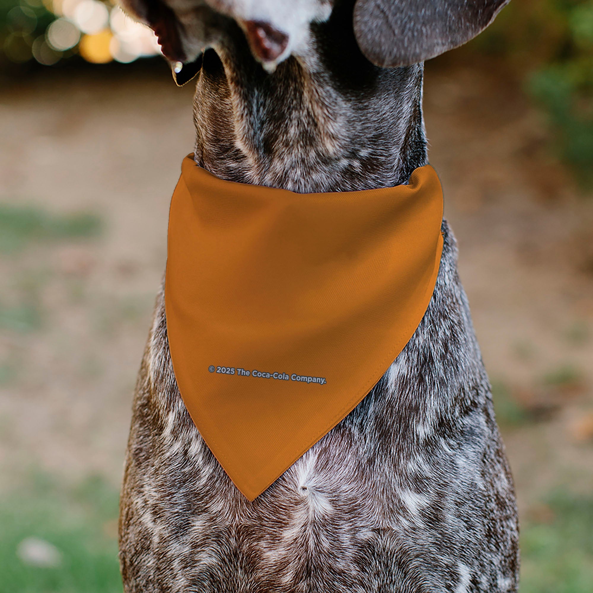 Pet Bandana - FANTA Orange Round Logo Orange/White/Blue