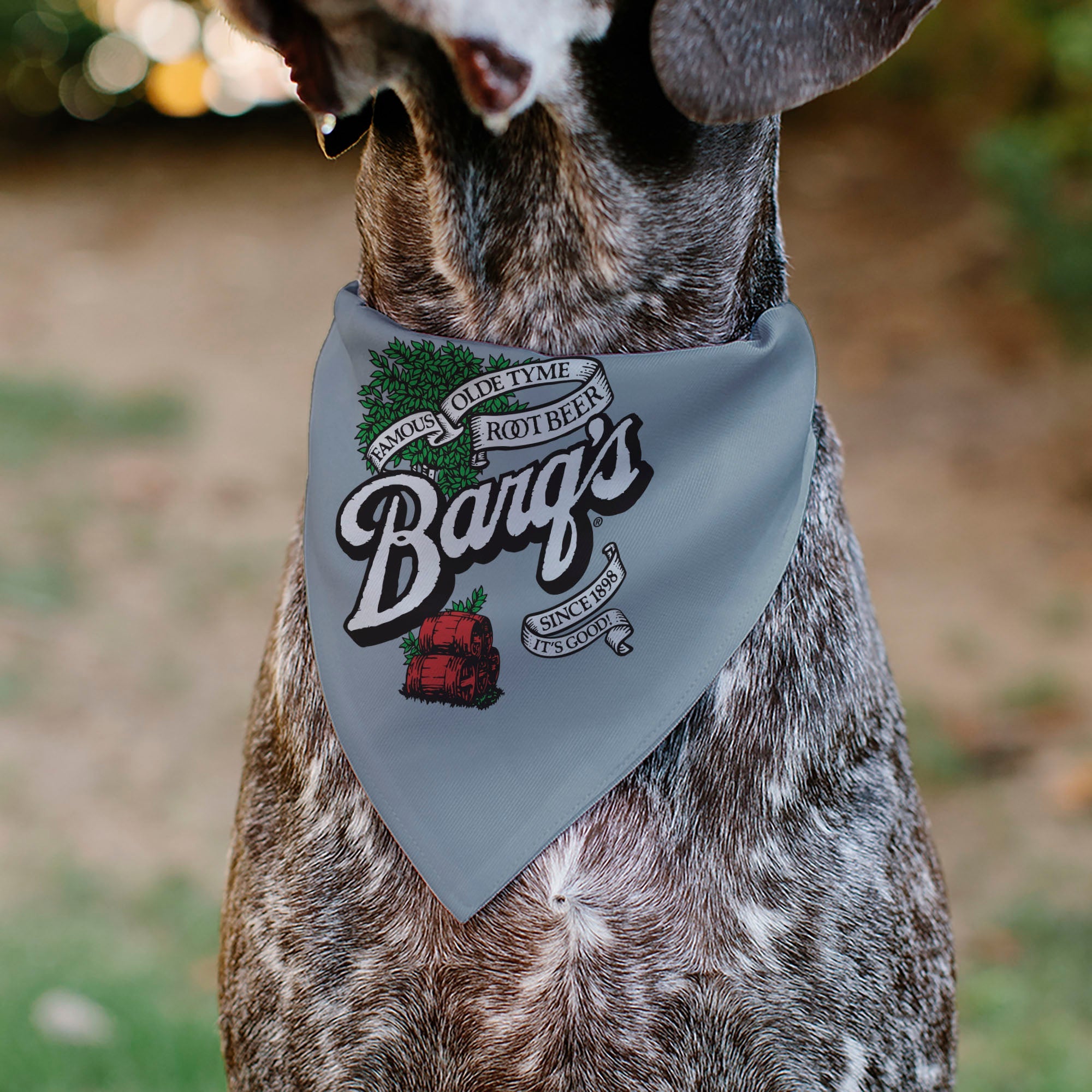 Pet Bandana - BARQ'S OLD TYME ROOT BEER Barrels Logo Gray