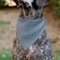 Load image into Gallery viewer, Pet Bandana - BARQ'S OLD TYME ROOT BEER Barrels Logo Gray
