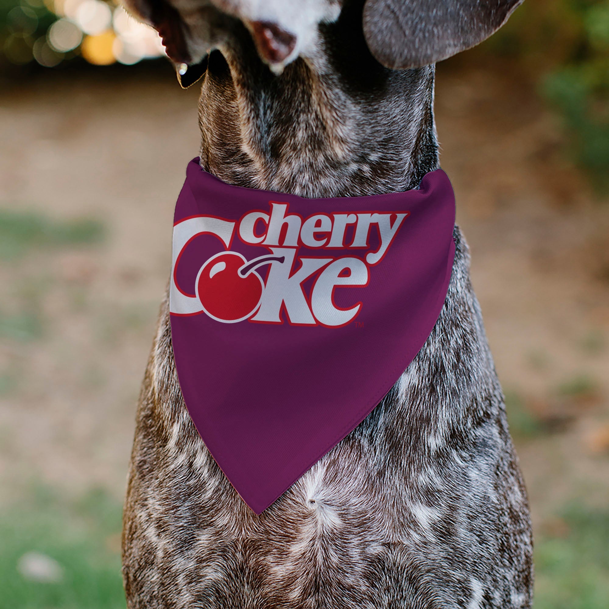 Pet Bandana - CHERRY COKE Cherry Logo Burgundy/Red/White
