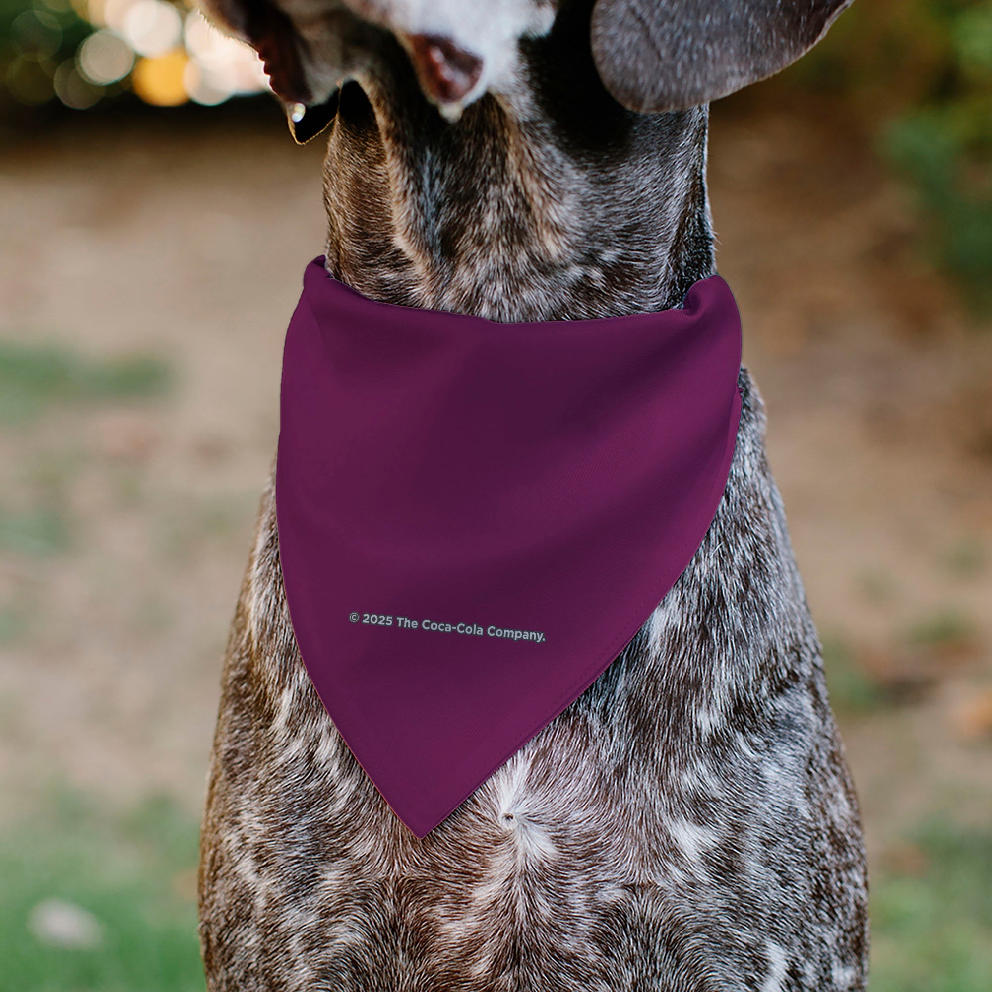 Pet Bandana - CHERRY COKE Cherry Logo Burgundy/Red/White
