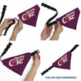 Load image into Gallery viewer, Pet Bandana - CHERRY COKE Cherry Logo Burgundy/Red/White
