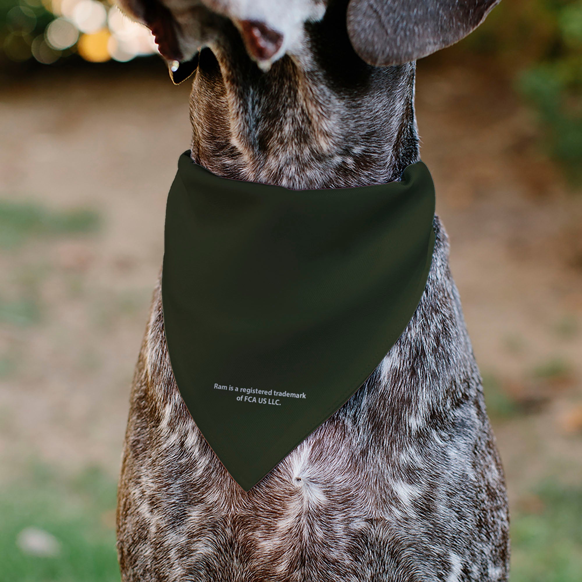 Pet Bandana - RAM TRX Americana Stars and Stripes Weathered Black/Brown/White